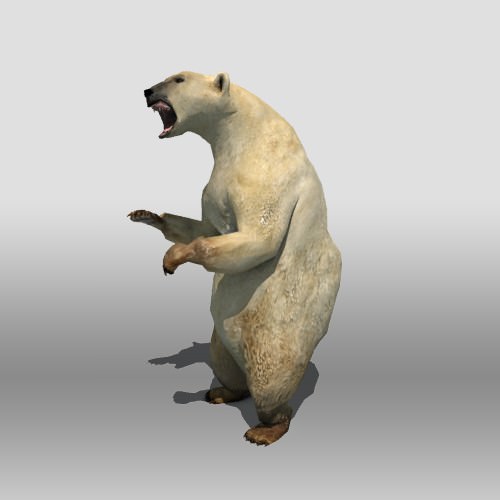 Polar Bear Low-poly 3D model_3