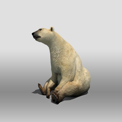 Polar Bear Low-poly 3D model_5