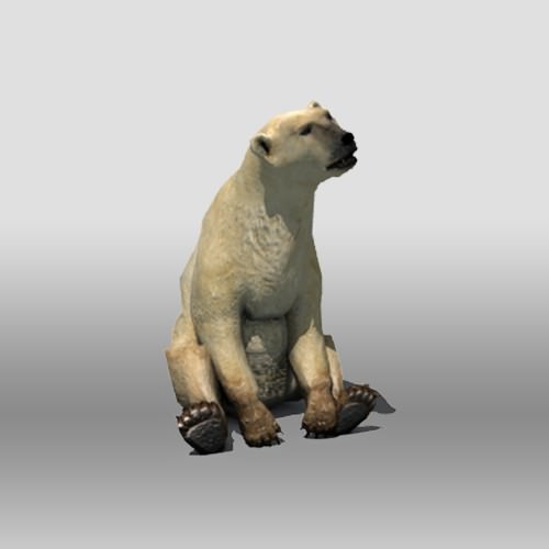 Polar Bear Low-poly 3D model_4