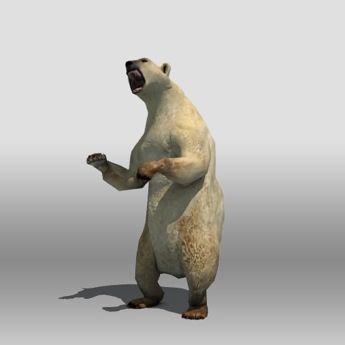 Polar Bear Low-poly 3D model_2
