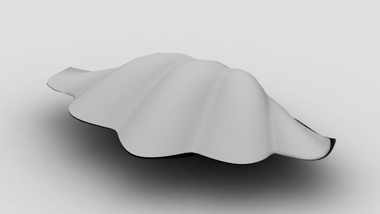 Clam model shell 3D model_0
