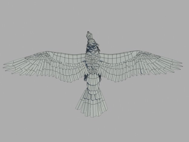 Raven 3D model_7