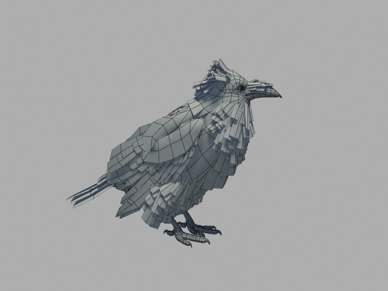 Raven 3D Model rigged .max .obj .3ds .fbx