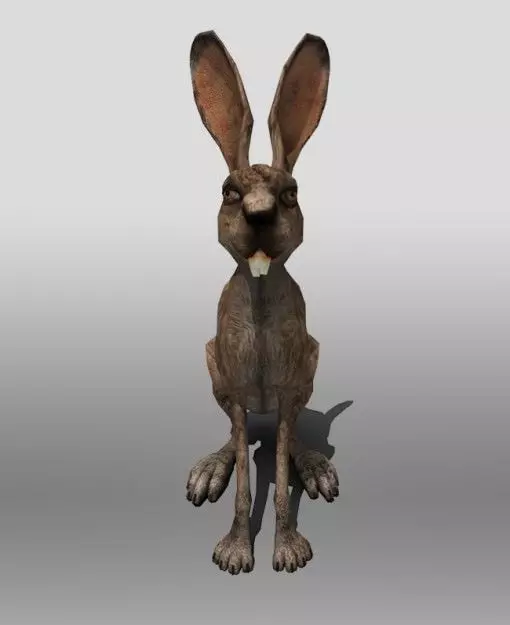 Jack Rabbit 3D model