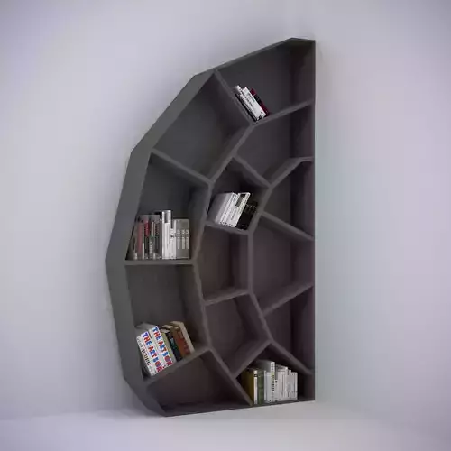 Spider web bookcase