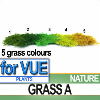 Grass A 5 Colors Vue EcoSystem 3D model_2