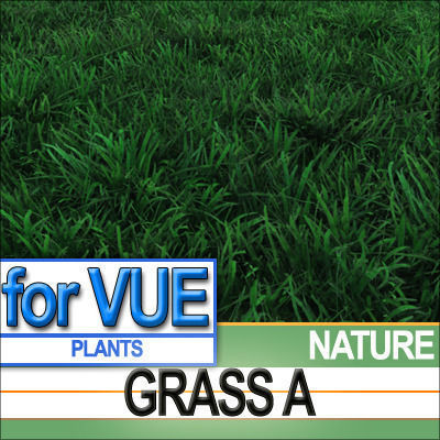 Grass A 5 Colors Vue EcoSystem 3D model_6