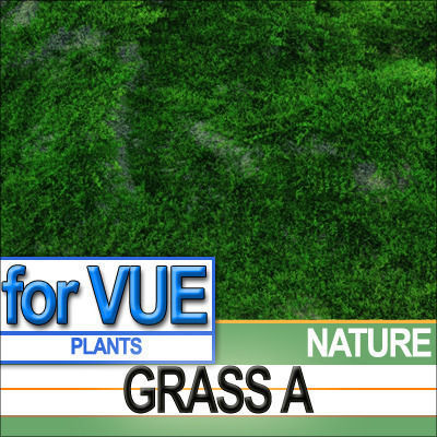 Grass A 5 Colors Vue EcoSystem 3D model_5
