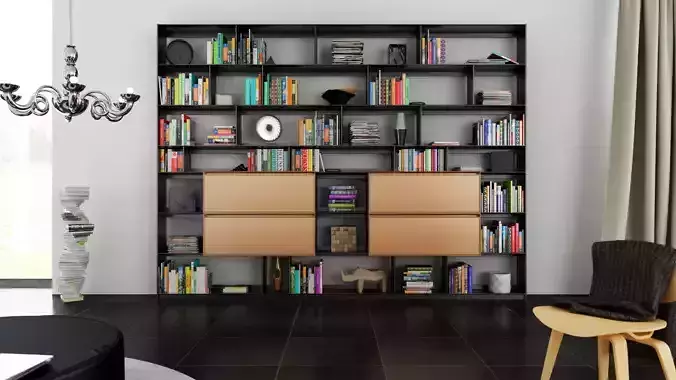 B and B bookcase 29 with books 