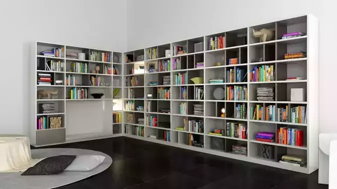 Molteni 505 7 with books  