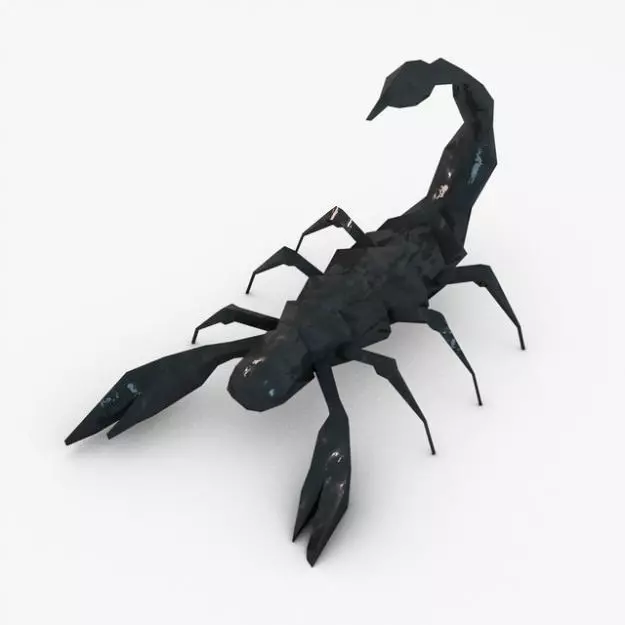 Low poly scorpion 3D model_0