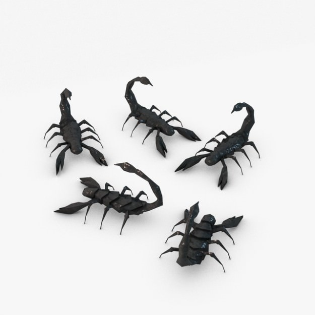 Low poly scorpion 3D model_2
