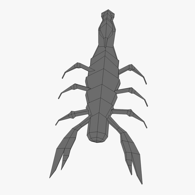 Low poly scorpion 3D model_5