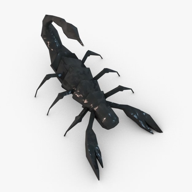 Low poly scorpion 3D model_1