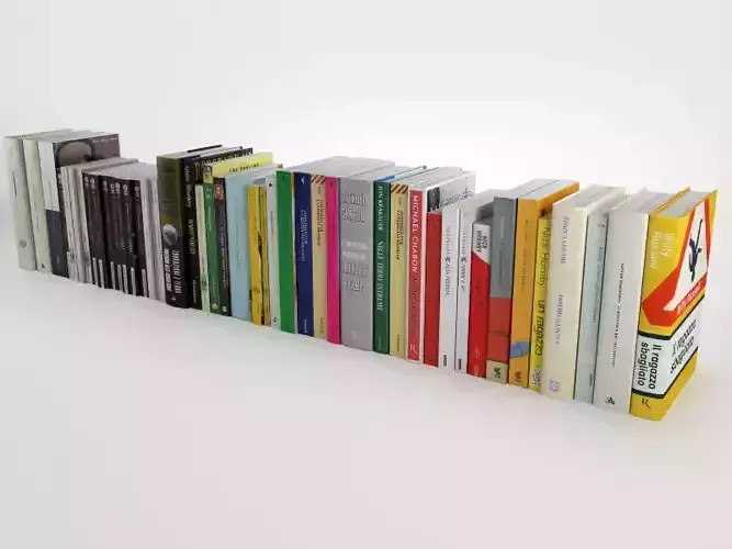Novel collection books 3D model