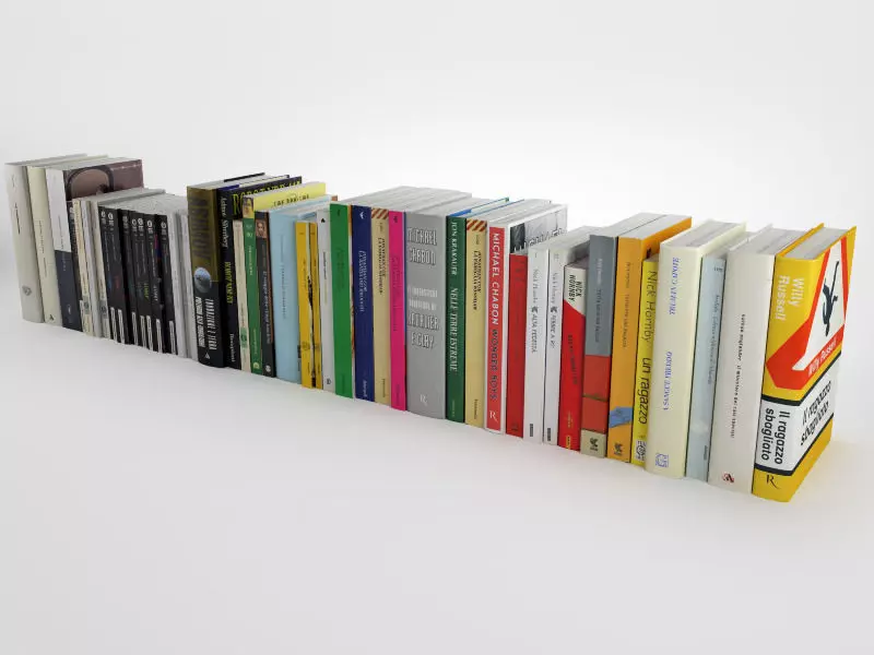 Novel collection books 3D model_0