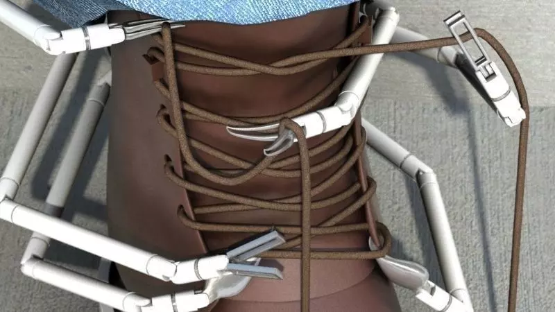 The Shoelacer Arachnoid Free 3D model_0