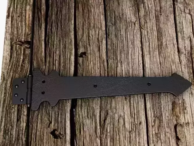 Old Door Hinge 3