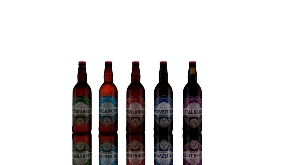 Beer Bottles Low-poly 3D model_0