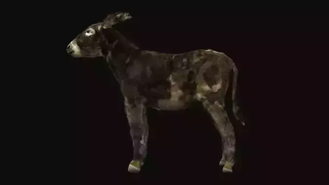 The Donkey of the Mill 3D model