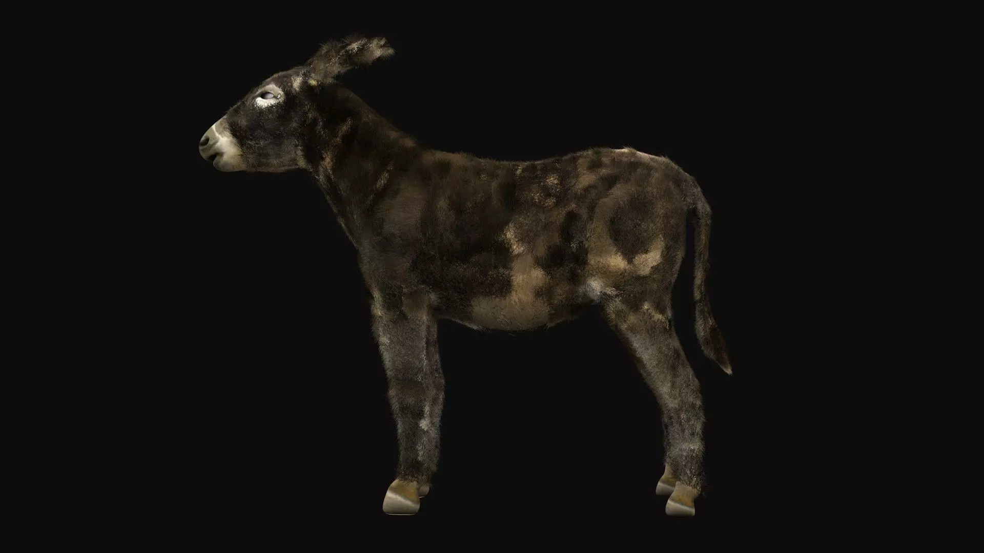 The Donkey of the Mill 3D model_0