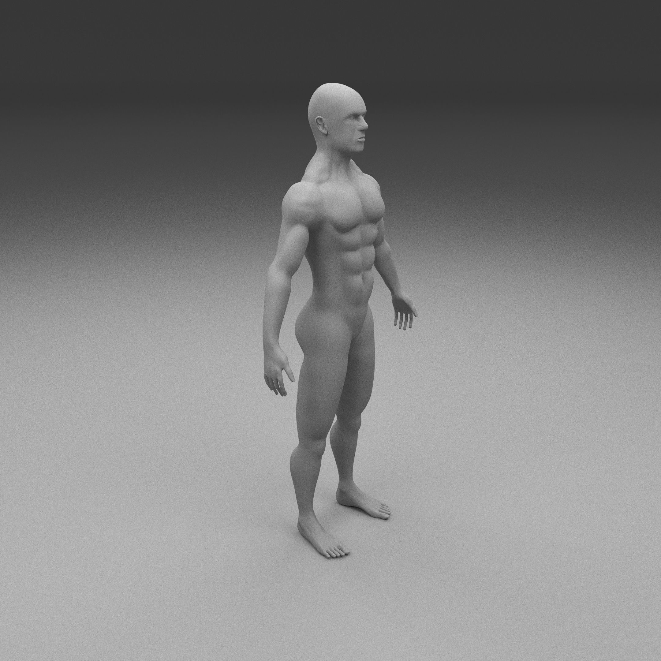 Muscular Human Male Clay Model 3D model_14