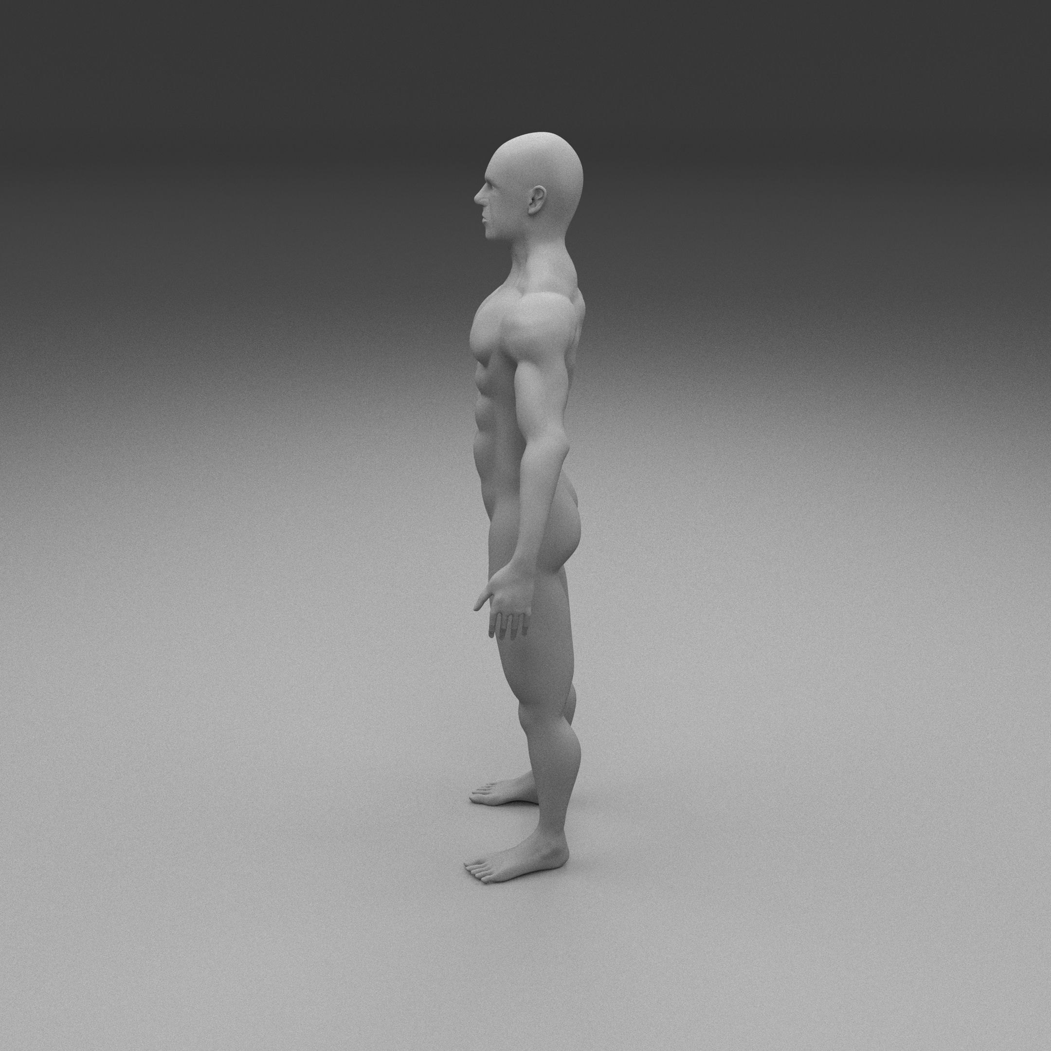 Muscular Human Male Clay Model 3D model_11