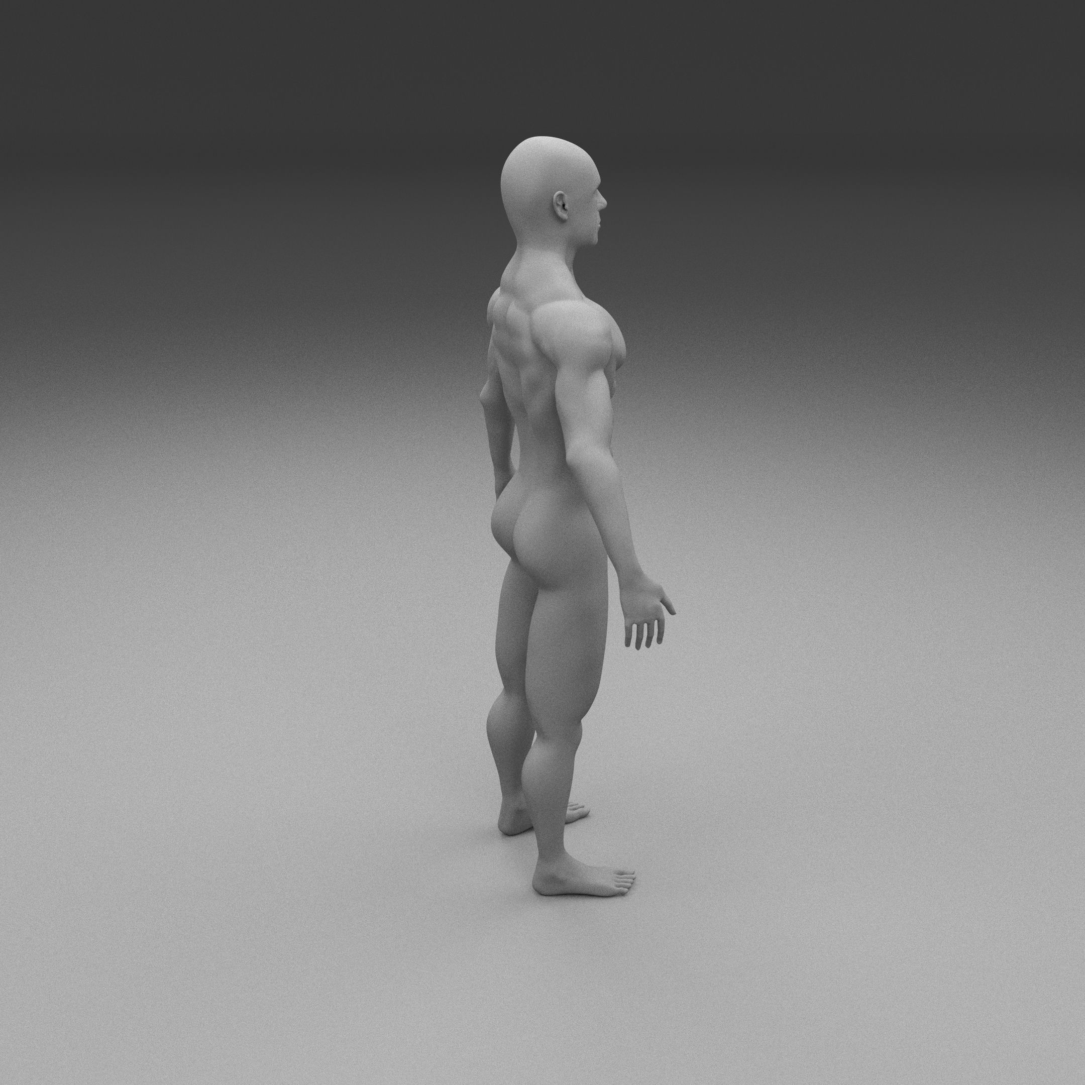 Muscular Human Male Clay Model 3D model_9