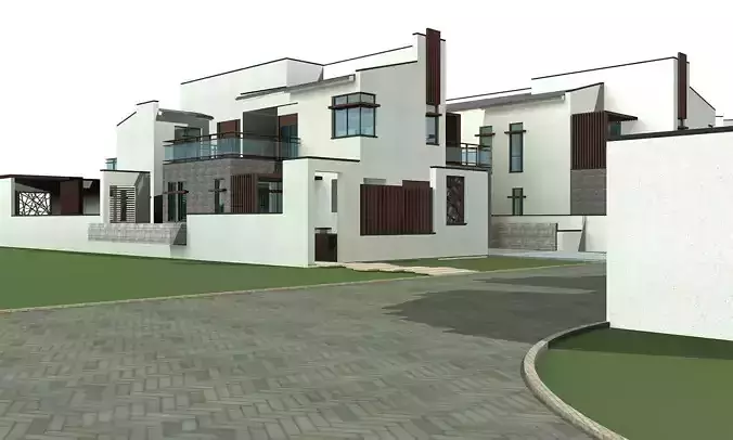 Villa modern house with driveway