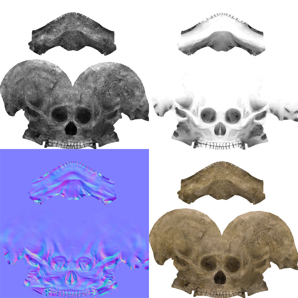 Skull human Low-poly 3D model_5