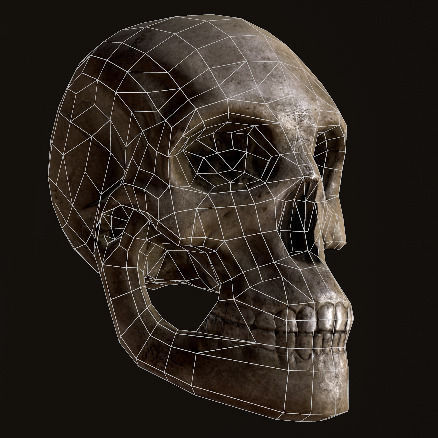 Skull human Low-poly 3D model_4