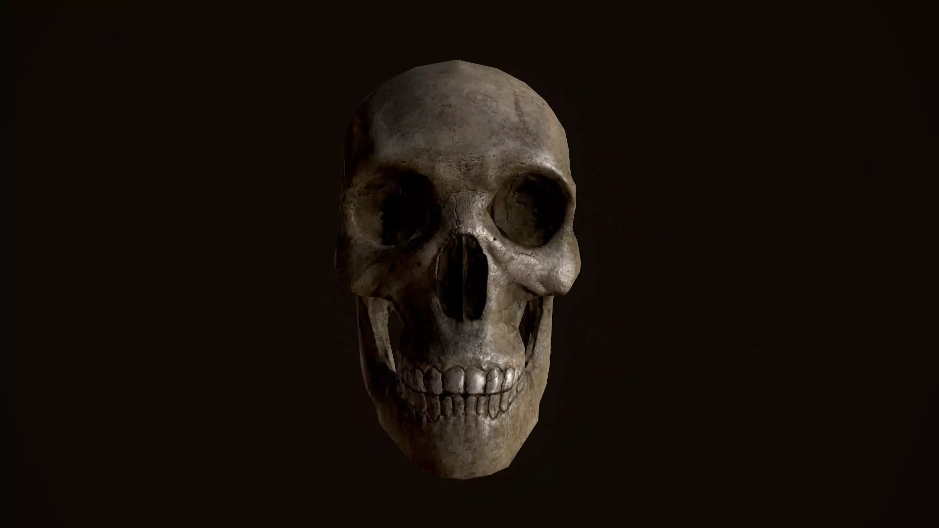 Skull human Low-poly 3D model_0