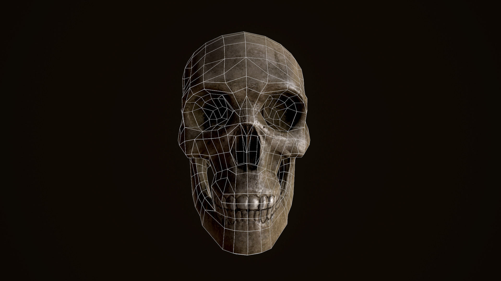 Skull human Low-poly 3D model_2