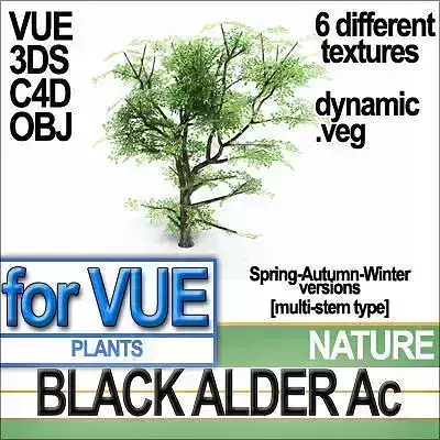 Black Alder Tree Ac veg dynamic