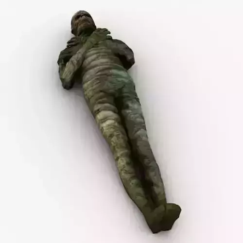Mummy lying 3D model