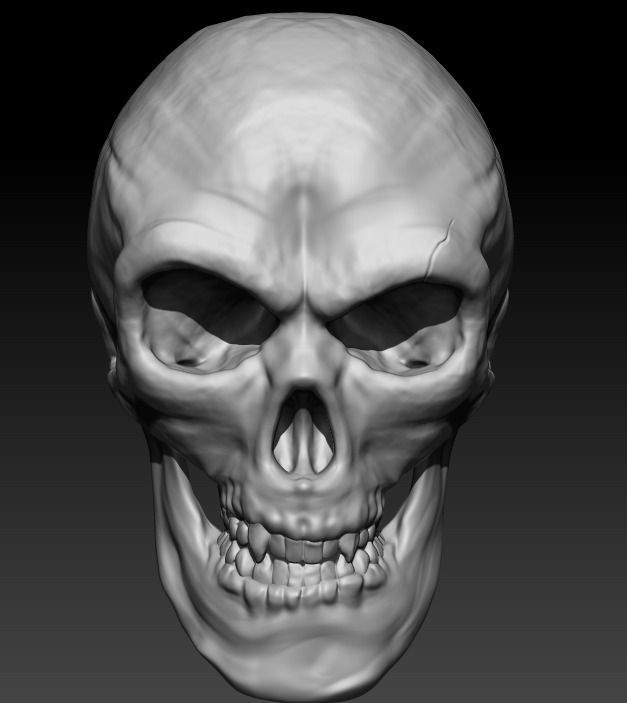 Skull 3D model_0