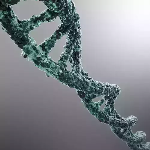 DNA strand 3D model
