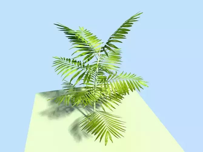 low poly tropical plant Low-poly 3D model