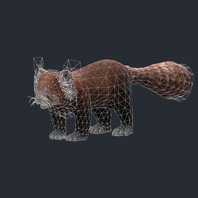 red panda 3D Model Game ready .max .obj .fbx - CGTrader.com