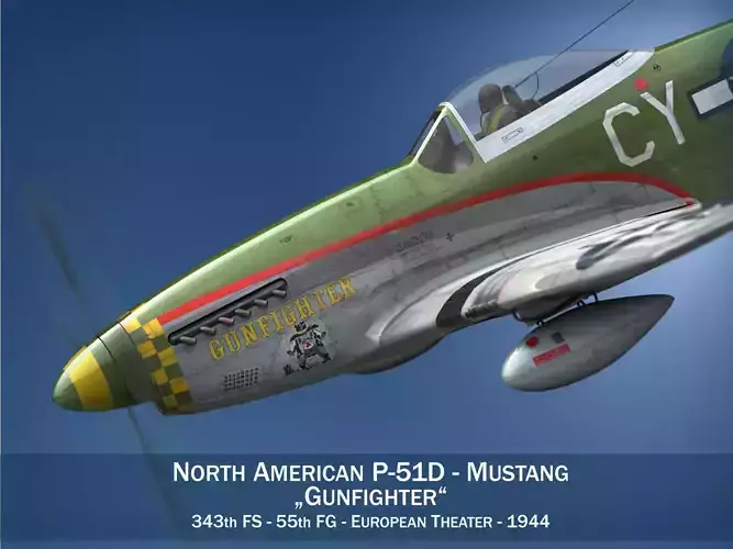 North American P-51D - Gunfighter 