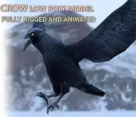 Crow Rigged and Animated Low-poly 3D model