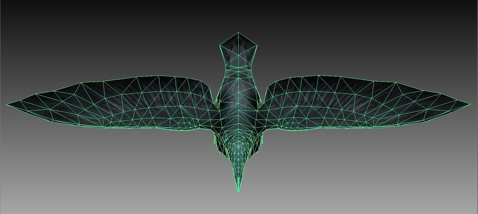 Crow Rigged and Animated Low-poly 3D model_3