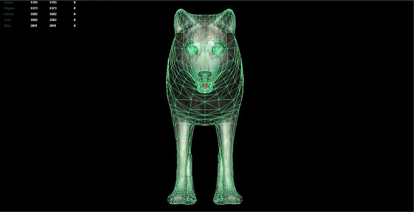 Wolf Rigged and Animated Low-poly 3D model_4