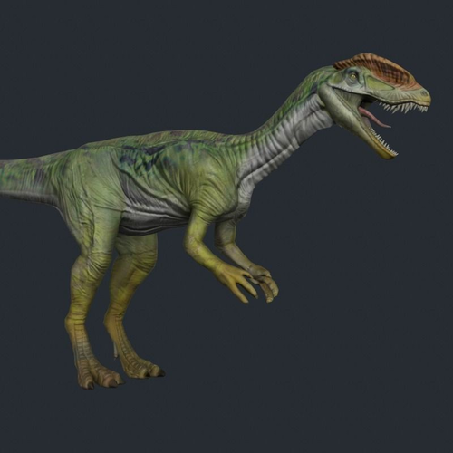 Dilo Dilo