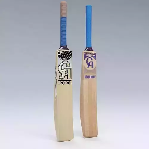 Cricket Bat CA 3D model