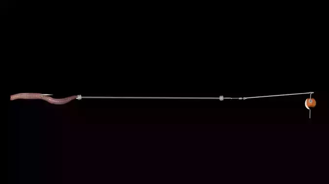 Bottom Bouncer and Worm