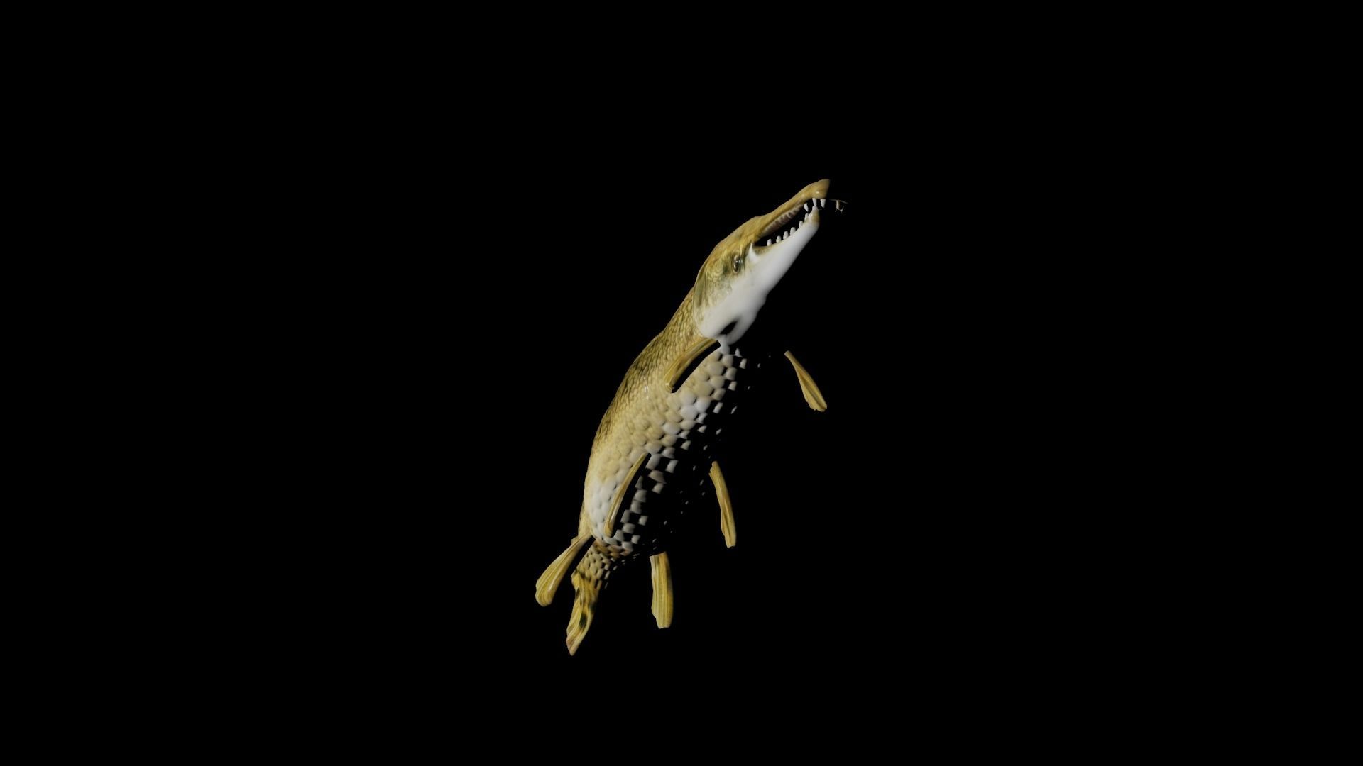 ALLIGATOR GAR 3D model_2