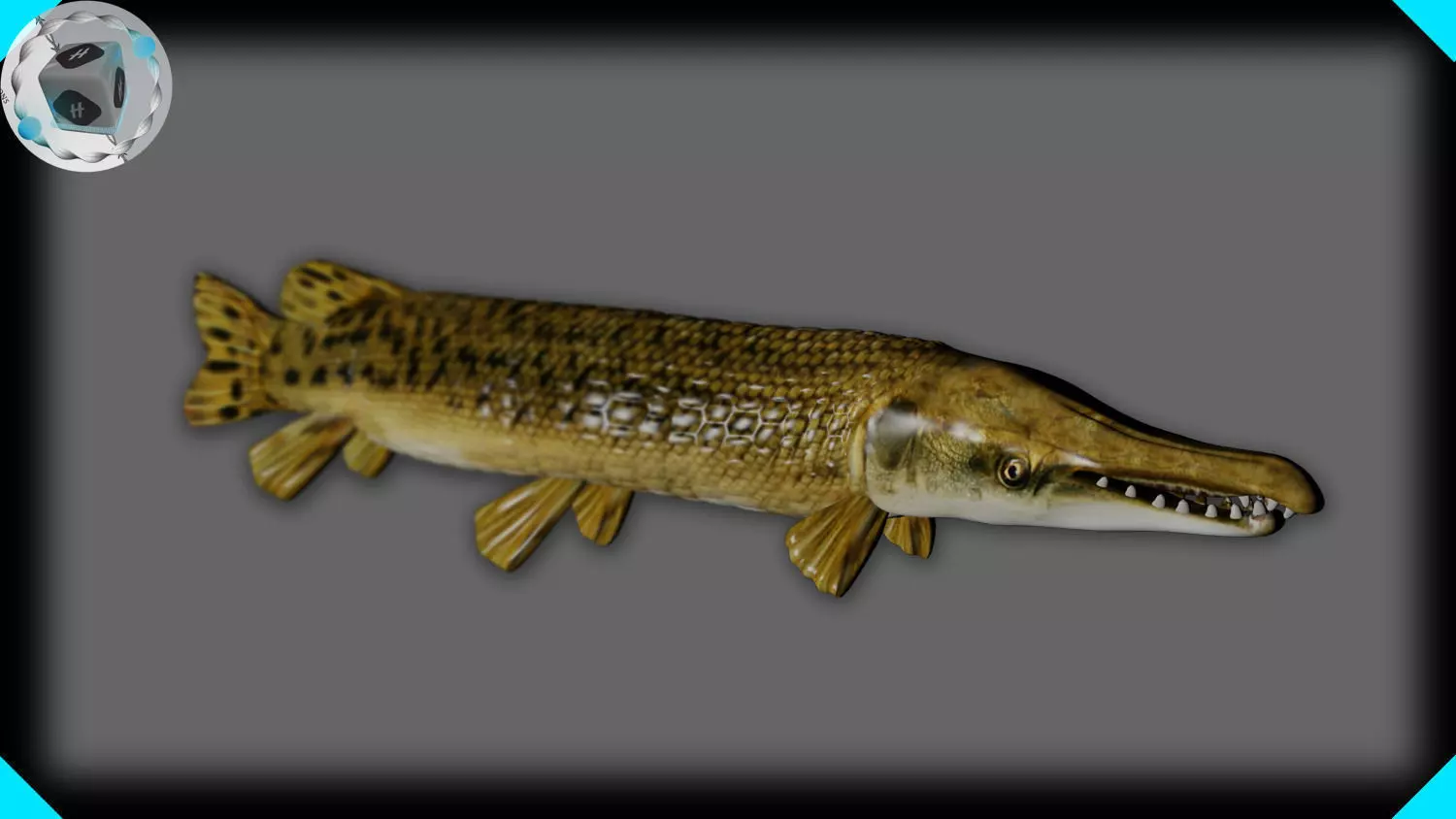 ALLIGATOR GAR 3D model_0
