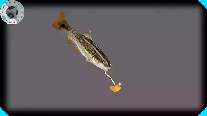 RedTail Chub 3D model