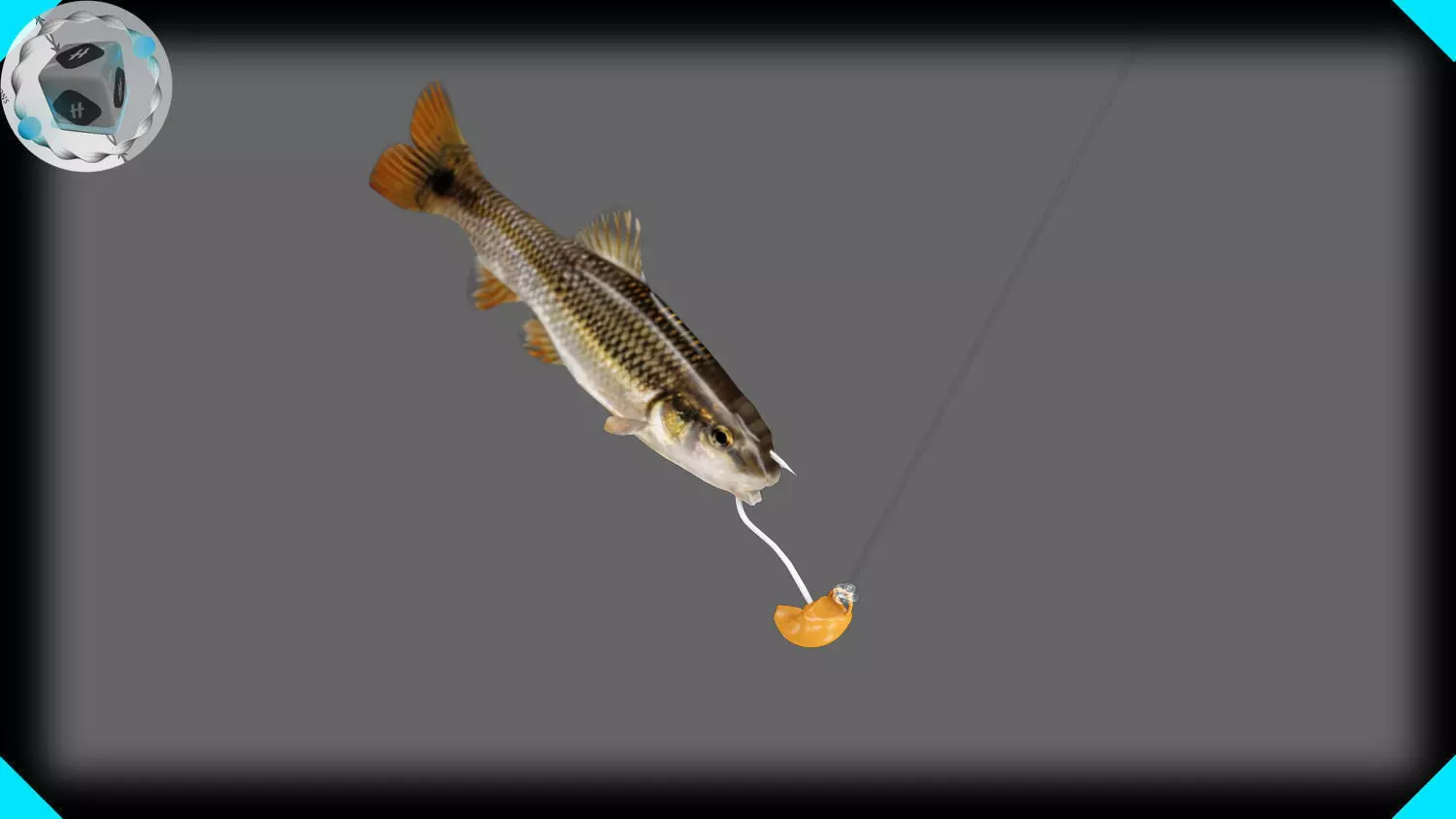 RedTail Chub 3D model_0